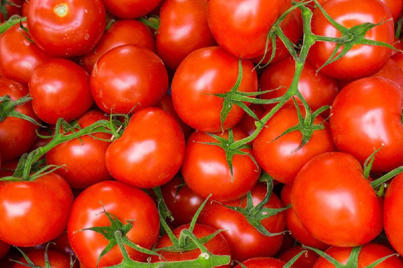 Pomidorai – skani sveikatos apsauga